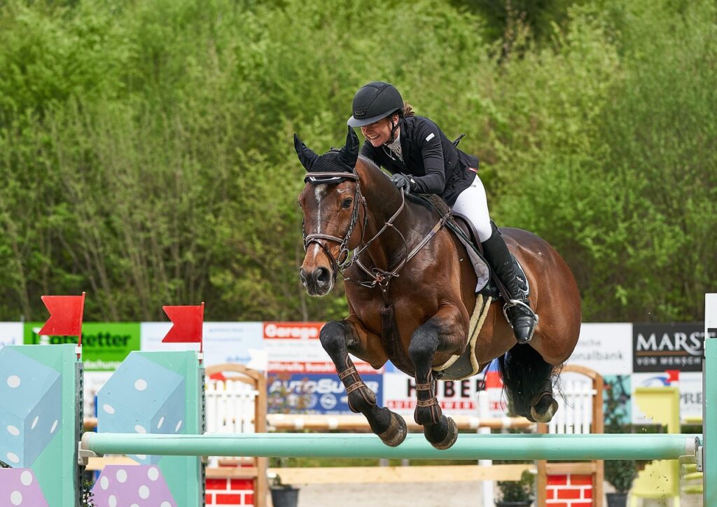horse jumping, nature, competition, obstacle, jump, sport, show, ride, tournament, animal, riding, equestrian